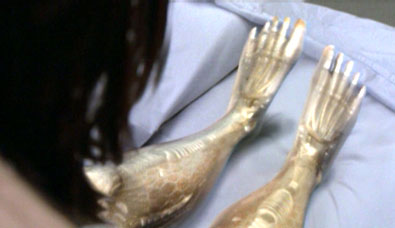 Bionic Woman